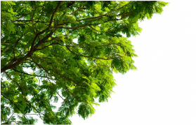 CÔNG TY TNHH ĐẦU TƯ BẤT ĐỘNG SẢN TÀI LỘC